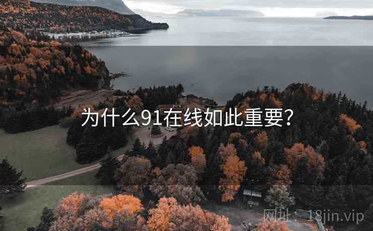 为什么91在线如此重要？  第2张