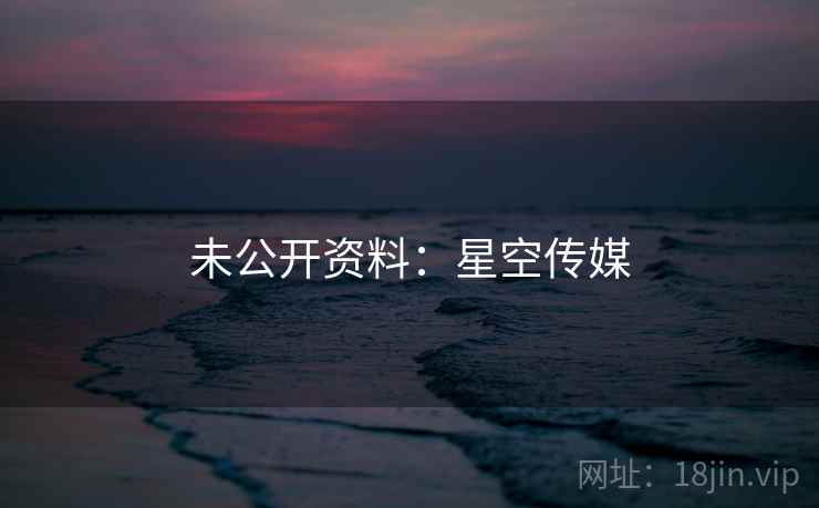 未公开资料：星空传媒