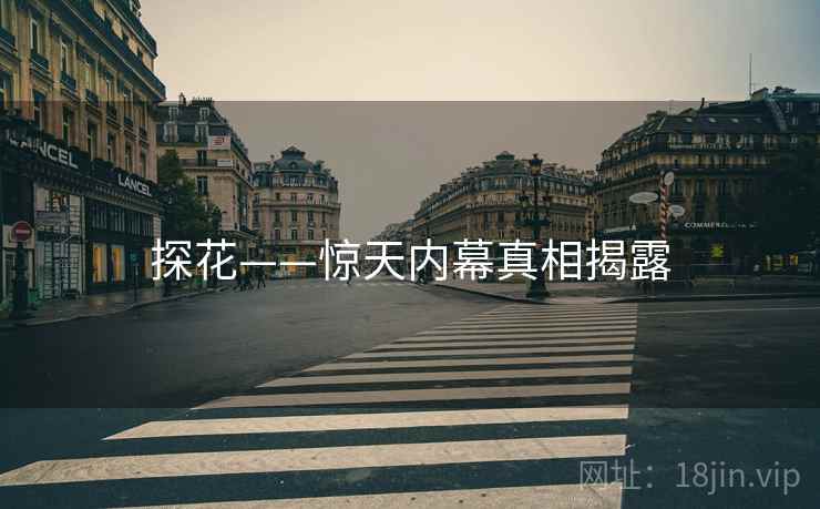 探花——惊天内幕真相揭露