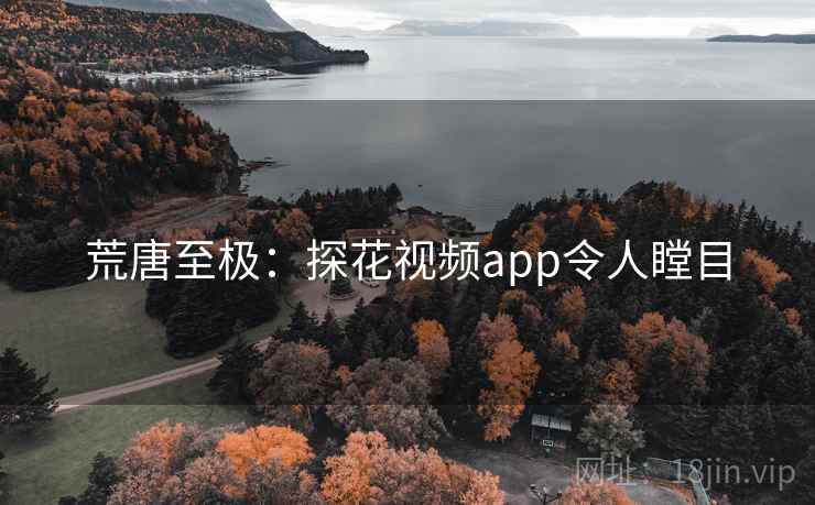 荒唐至极：探花视频app令人瞠目