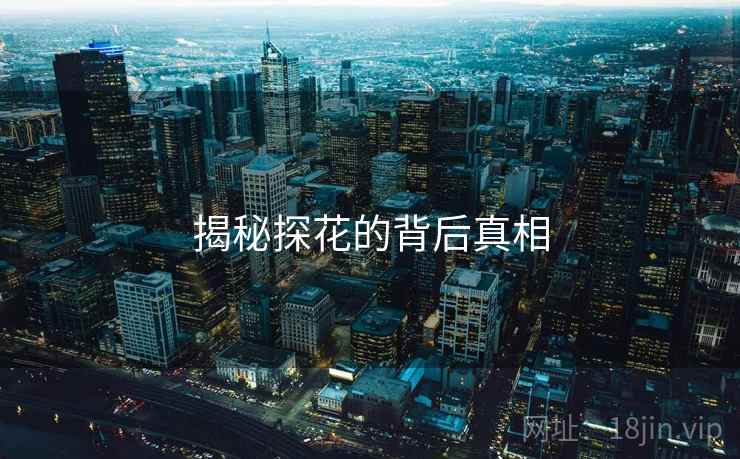 揭秘探花的背后真相
